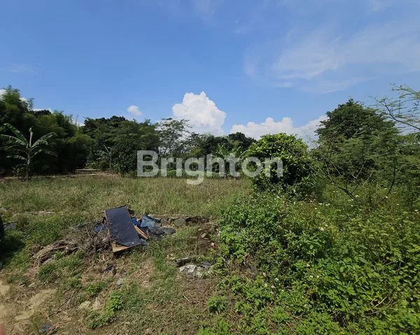 image TANAH SENTUL BOGOR (8)