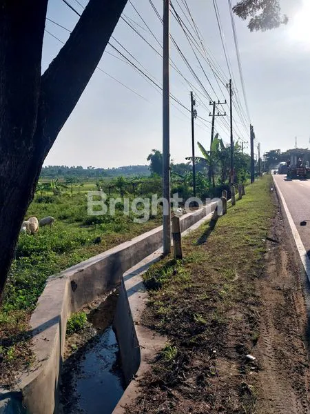 TANAH MURAH NOL JALAN PANTURA TUBAN