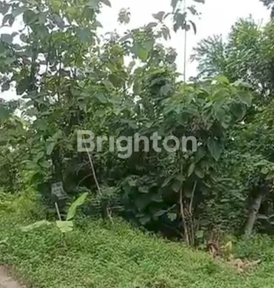 image DIJUAL TANAH LT 7150 M2. SHM. DI NANAS RAYA TEMBALANG. (1)