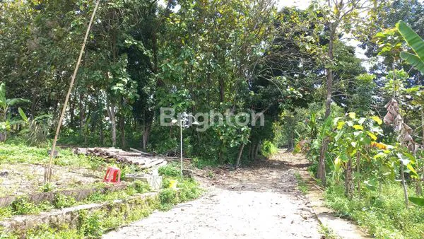 image DIJUAL TANAH LT 7150 M2. SHM. DI NANAS RAYA TEMBALANG. (2)