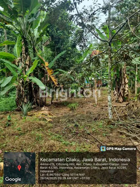 image TANAH DI DESA CIBINONG HILIR, CILAKU, CIANJUR (2)