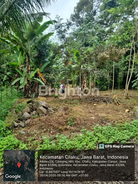 image TANAH DI DESA CIBINONG HILIR, CILAKU, CIANJUR (3)