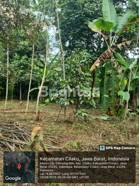 image TANAH DI DESA CIBINONG HILIR, CILAKU, CIANJUR (4)