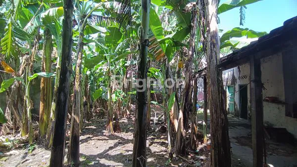 image DIJUAL TANAH DAN BANGUNAN (4)