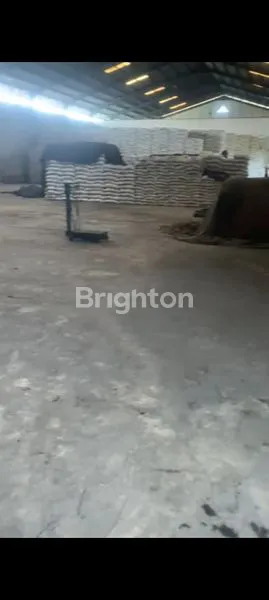 image GUDANG LUAS KAYU PUTIH (7)