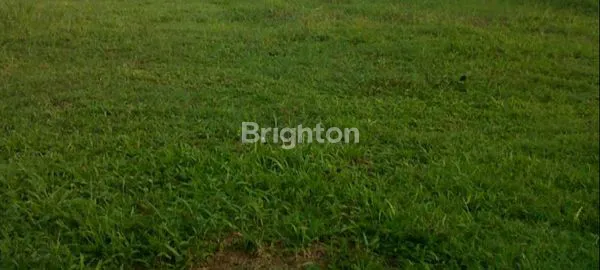 image WISATA BUKIT MAS 1 ALEXANDRIA (1)