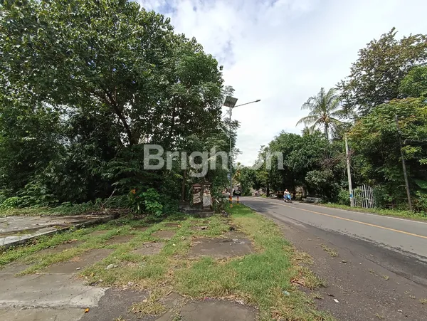 TANAH MURAH PINGGIR JALAN RAYA DI TEJAKULA BULELENG