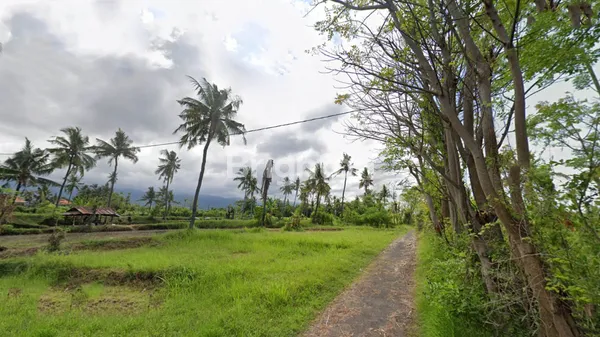 image TANAH KAVLING MURAH DI PANJI SINGARAJA BALI (2)