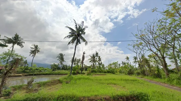image TANAH KAVLING MURAH DI PANJI SINGARAJA BALI (5)