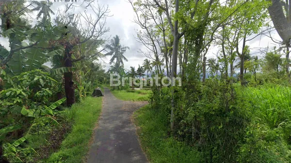 image TANAH KAVLING MURAH DI PANJI SINGARAJA BALI (7)