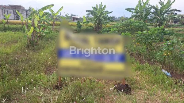 image TANAH MURAH DAU SIAP BANGUN (1)