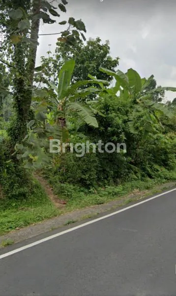 TANAH LUAS 1350M2 DI JALAN RAYA GUBUGKLAKAH, TUMPANG, PONCOKUSUMO, MALANG, JAWA TIMUR