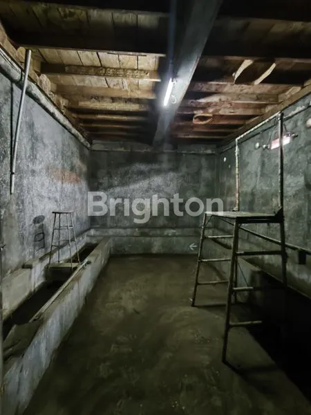 image RUMAH ADA SARANG WALET PURWODADI (7)