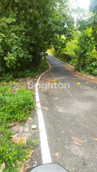 LEASEHOLD 50 ARE KOMPLEK VILLA HOTEL IN ULUWATU