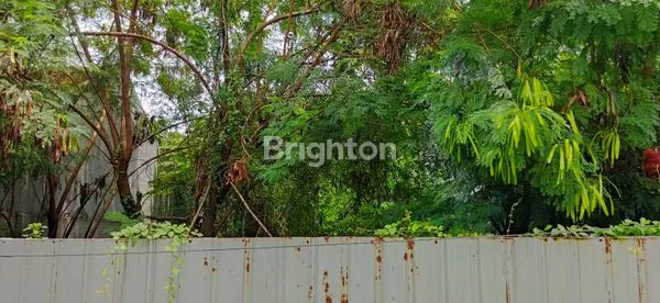 image TANAH LUAS 200M² RUNGKUT, AKSES MUDAH & STRATEGIS (2)