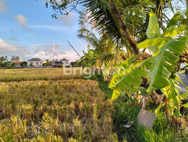 image DI JUAL TANAH SAWAH PINGGIR JALAN SANGAT STRATEGIS UNTUK BERBAGAI TEMPAT USAHA (3)