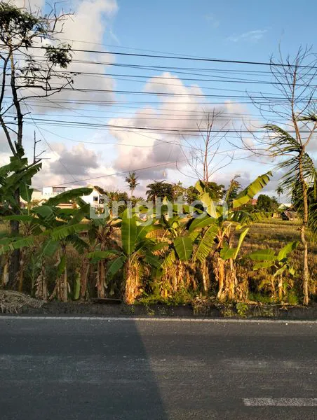 image DI JUAL TANAH SAWAH PINGGIR JALAN SANGAT STRATEGIS UNTUK BERBAGAI TEMPAT USAHA (2)