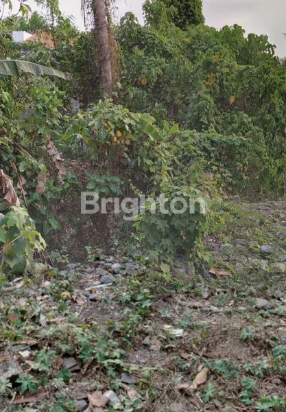 TANAH 2 ARE DI AREA PEMUKIMAN DI DESA CEPAKA TABANAN BALI