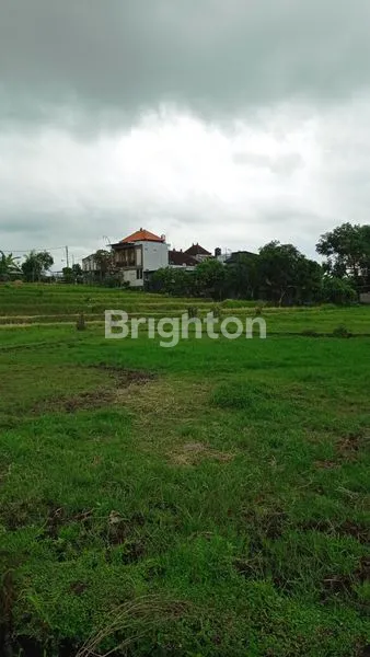 image DIJUAL TANAH STRATEGIS COCOK UNTUK RUMAH DAN VILLA DI DALUNG, BALI (7)