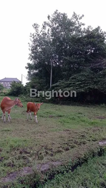 image DIJUAL TANAH STRATEGIS COCOK UNTUK RUMAH DAN VILLA DI DALUNG, BALI (3)