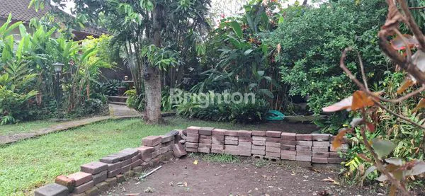 image TANAH BONUS BANGUNAN PINGGIR JALAN AREA TUMBAK BAYUH CANGGU (2)