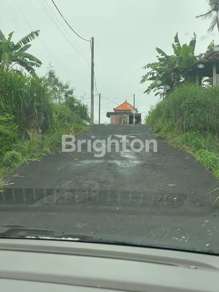 TANAH DI DEKAT TAMAN SAFARI