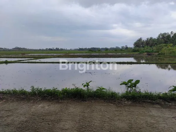 image TANAH LOKASI TEMON COCOK UNTUK PERUMAHAN ATAU KAPLING (3)