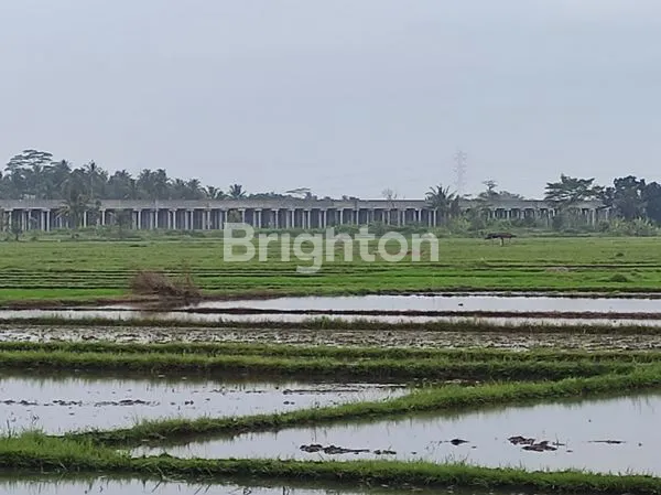 image TANAH LOKASI TEMON COCOK UNTUK PERUMAHAN ATAU KAPLING (4)