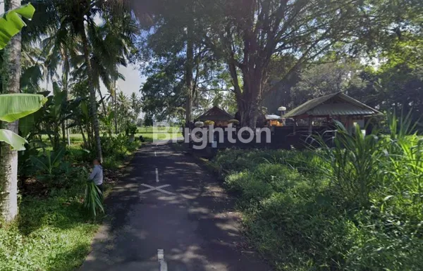 image MURAHHH... TANAH LOKASI STRATEGIS 15 ARE DI ABIANSEMAL (2)