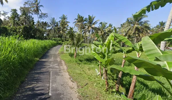 image MURAHHH... TANAH LOKASI STRATEGIS 15 ARE DI ABIANSEMAL (3)