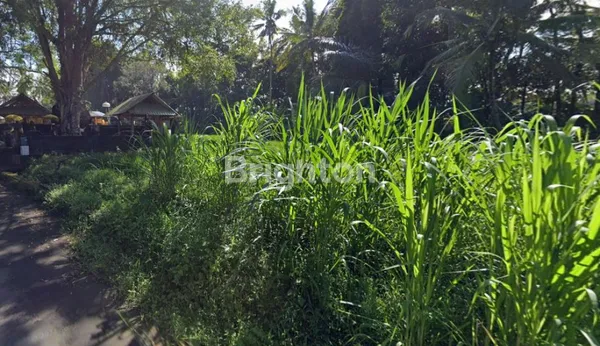 image MURAHHH... TANAH LOKASI STRATEGIS 15 ARE DI ABIANSEMAL (5)