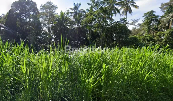 image MURAHHH... TANAH LOKASI STRATEGIS 15 ARE DI ABIANSEMAL (6)