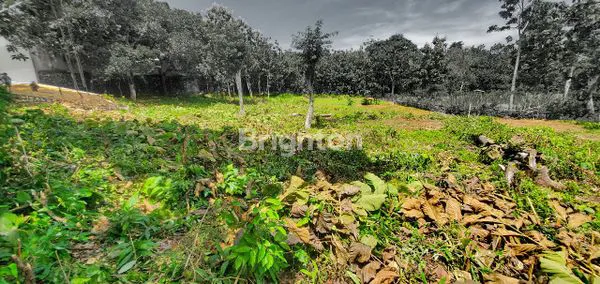 image TANAH UNTUK VILLA PECATU JIMBARAN (4)