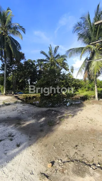 image TANAH PINGGIR JALAN GARUDA SAKTI (3)