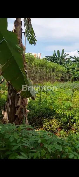 image DIJUAL TANAH KOMERSIL LOKASI STRATEGIS DI BABAKAN MADANG SENTUL BOGOR (8)