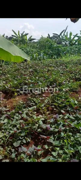 image DIJUAL TANAH KOMERSIL LOKASI STRATEGIS DI BABAKAN MADANG SENTUL BOGOR (2)