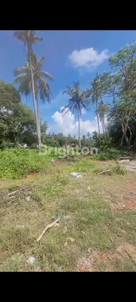 image DIJUAL TANAH PINGGIR PANTAI KARIMUN JAWA MURAH (2)