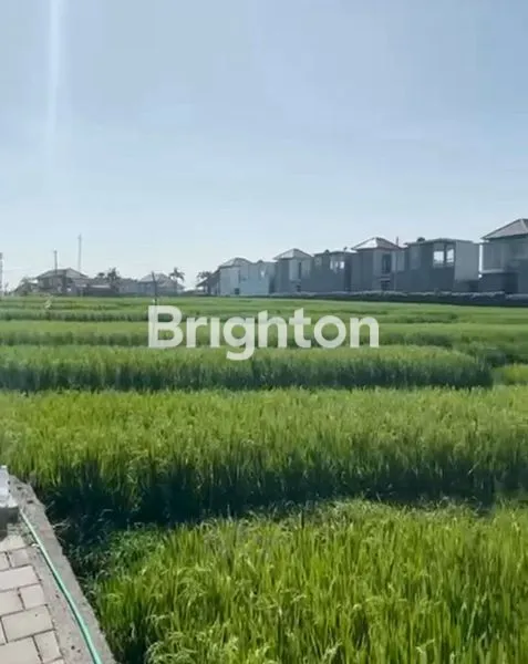 image BRAND NEW TROPICAL MODERN VILLA DI CEMAGI DEKAT PANTAI (6)