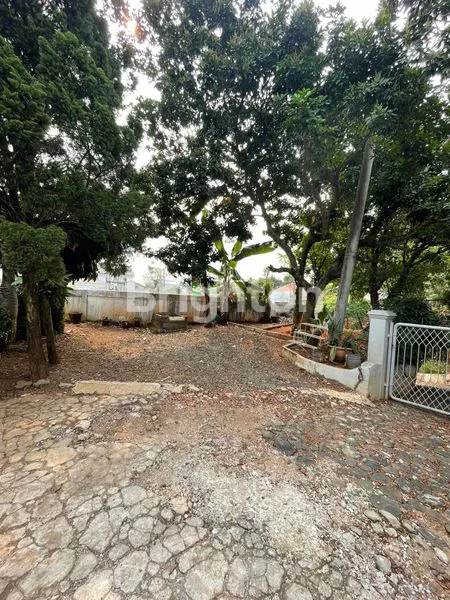 image RUMAH DAN TANAH YANG LUAS (1)