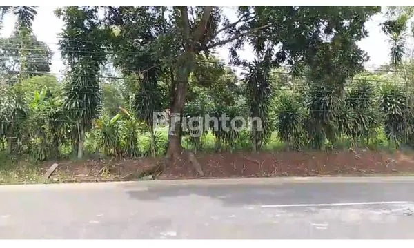 image LAHAN STRATEGIS 3 HEKTAR BANDUNG BARAT (2)