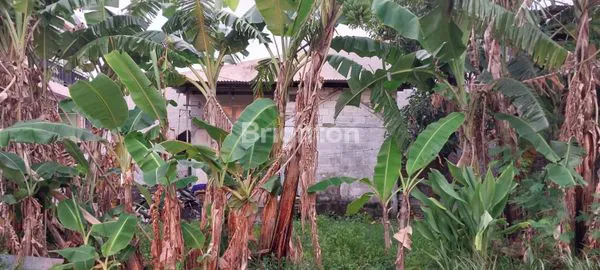 image RUMAH LOKASI TLOGOSARI LT.156M2 LB.21 (1)