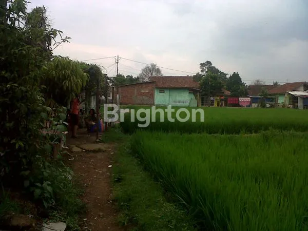 image TANAH DI CISANDE, CIBADAK SUKABUMI (3)