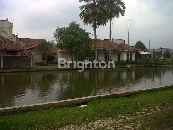 image TANAH DI CISANDE, CIBADAK SUKABUMI (4)