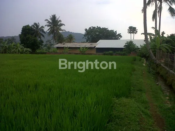 image TANAH DI CISANDE, CIBADAK SUKABUMI (5)