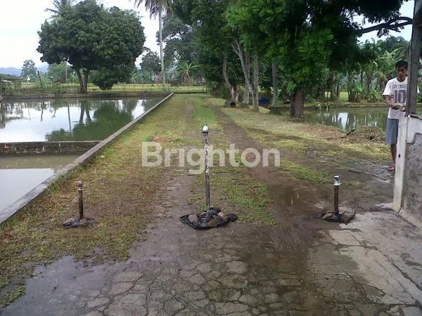 image TANAH DI CISANDE, CIBADAK SUKABUMI (7)