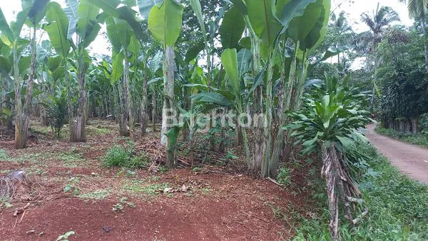 image TANAH KOSONG JONGGOL (5)