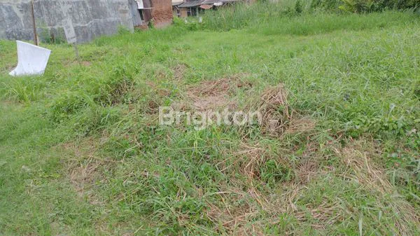 image TANAH DIJUAL MEDOKAN AYU.. (3)