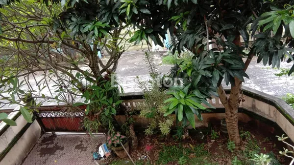 image DIJUAL RUMAH LUAS DI DENPASAR SHM HADAP UTARA LOKASI TENANG & NYAMAN (8)