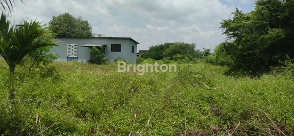 image TANAH SIAP BANGUN DI ARTERI YOS SUDARSO (6)