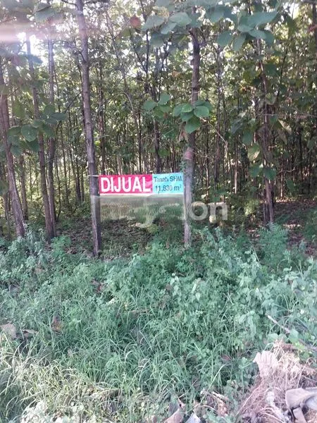 TANAH NOL JALAN NASIONAL JENU TUBAN